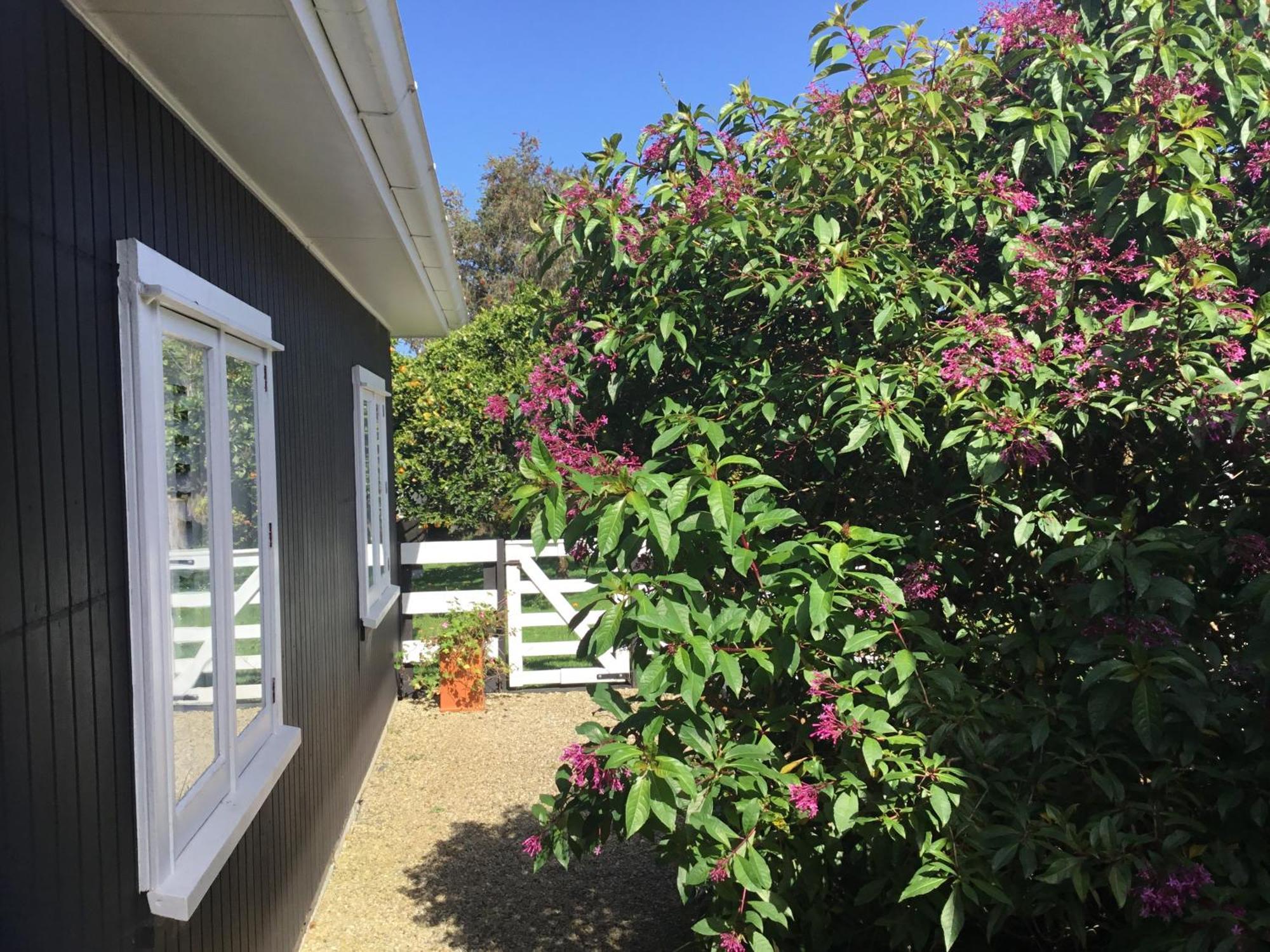 Pa Road B&B Kerikeri Nz Exterior foto
